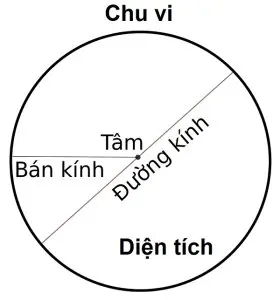 Hình tròn, đường tròn