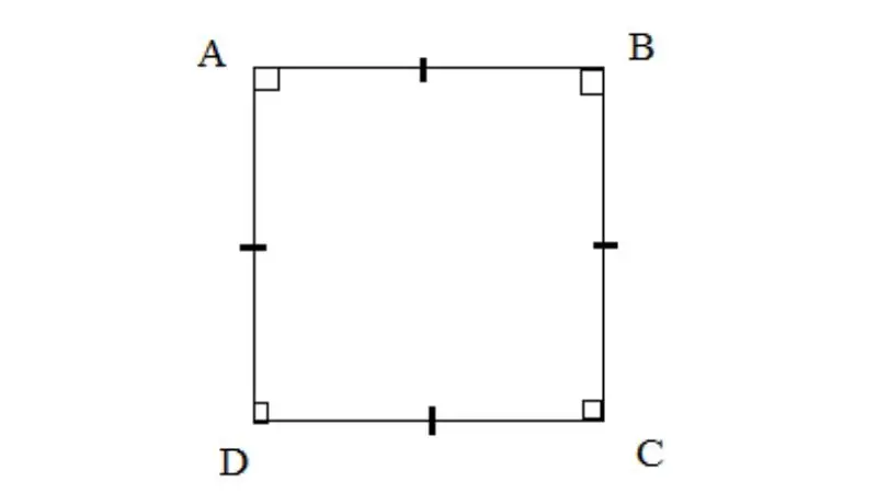 nhận biết hình vuông 
