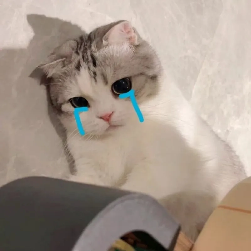 Biểu cảm “đau khổ” nhưng vẫn siêu lầy của meme mèo khóc bựa