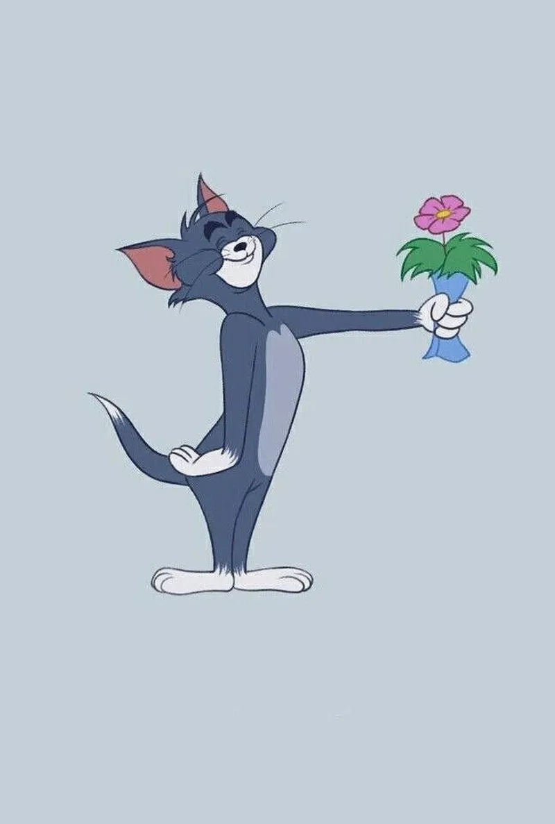 Bộ ảnh tom cat meme không thể bỏ lỡ