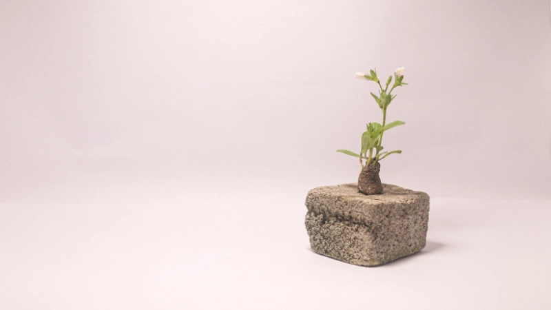 Sắp xếp lại đồ vật để khai thông dòng chảy khí