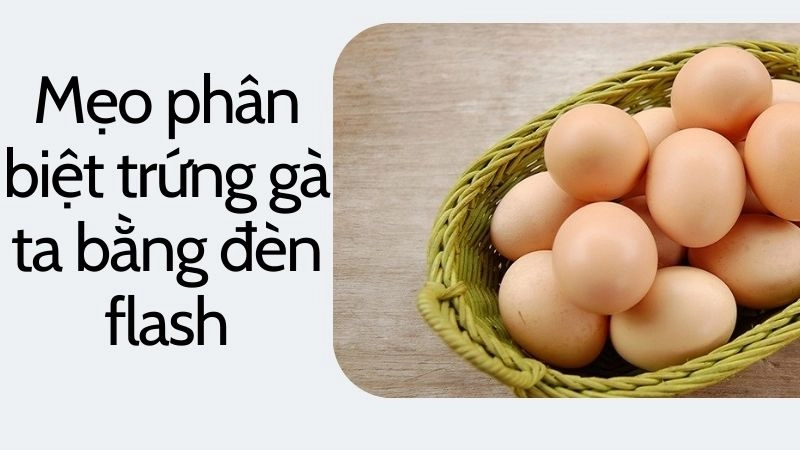 Cách soi trứng bằng đèn flash điện thoại siêu dễ